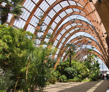 Sheffield Winter Gardens a popular attraction for locals